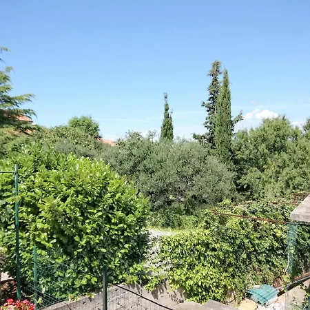 With A Parking Space Murter - 5103