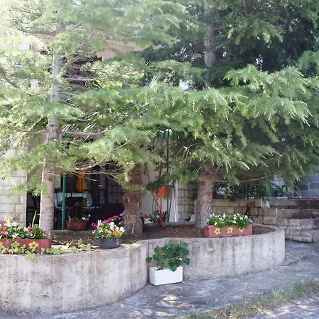 With A Parking Space Murter - 5103