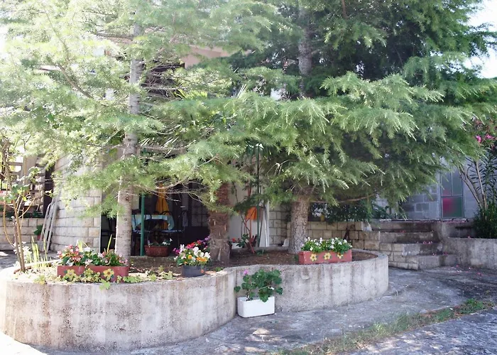 With A Parking Space Murter - 5103